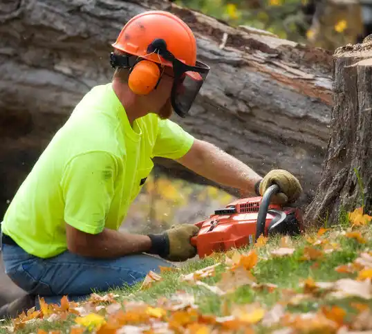 tree services Branson West